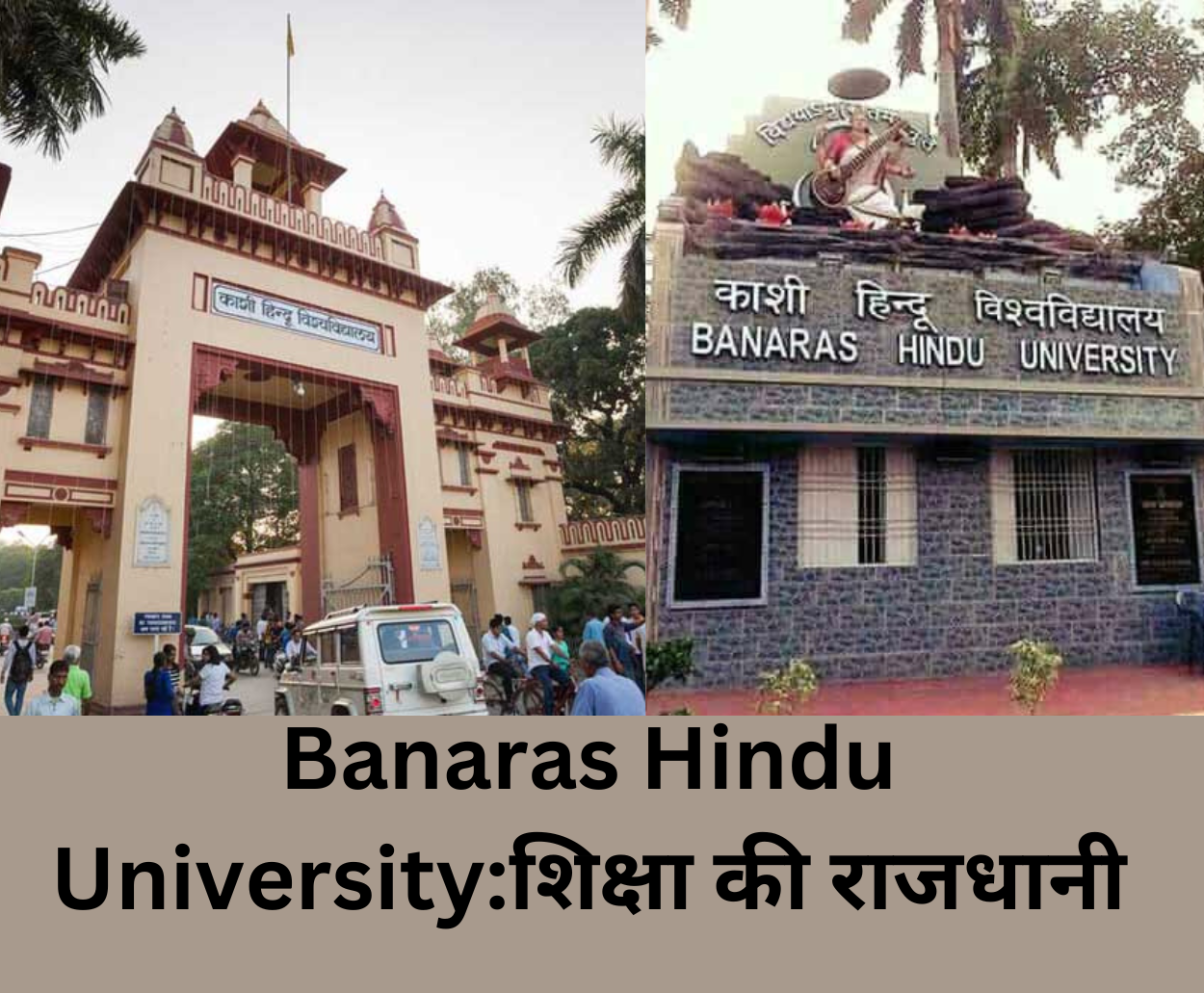 Read more about the article Banaras Hindu University:शिक्षा की  राजधानी